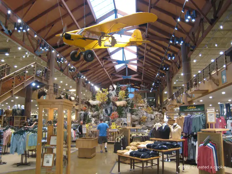 Hotels near Cabela's