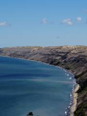 Log Slide Overlook