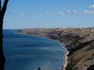 Log Slide Overlook