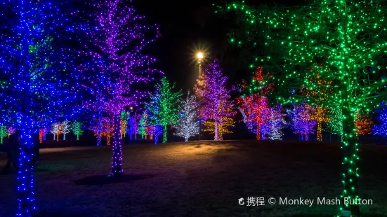 Vitruvian Park