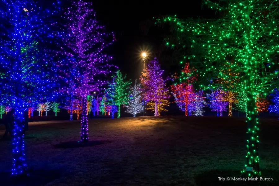 Vitruvian Park