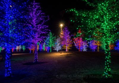 Vitruvian Park