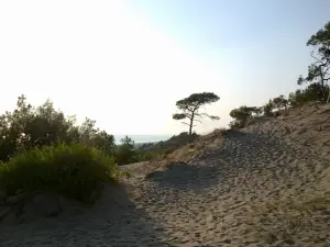 Patara Beach