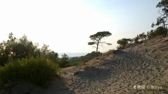 Patara Beach