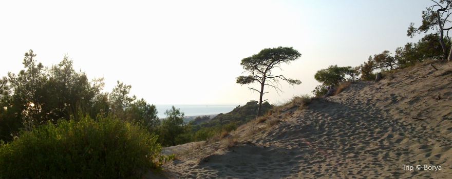 Patara Beach