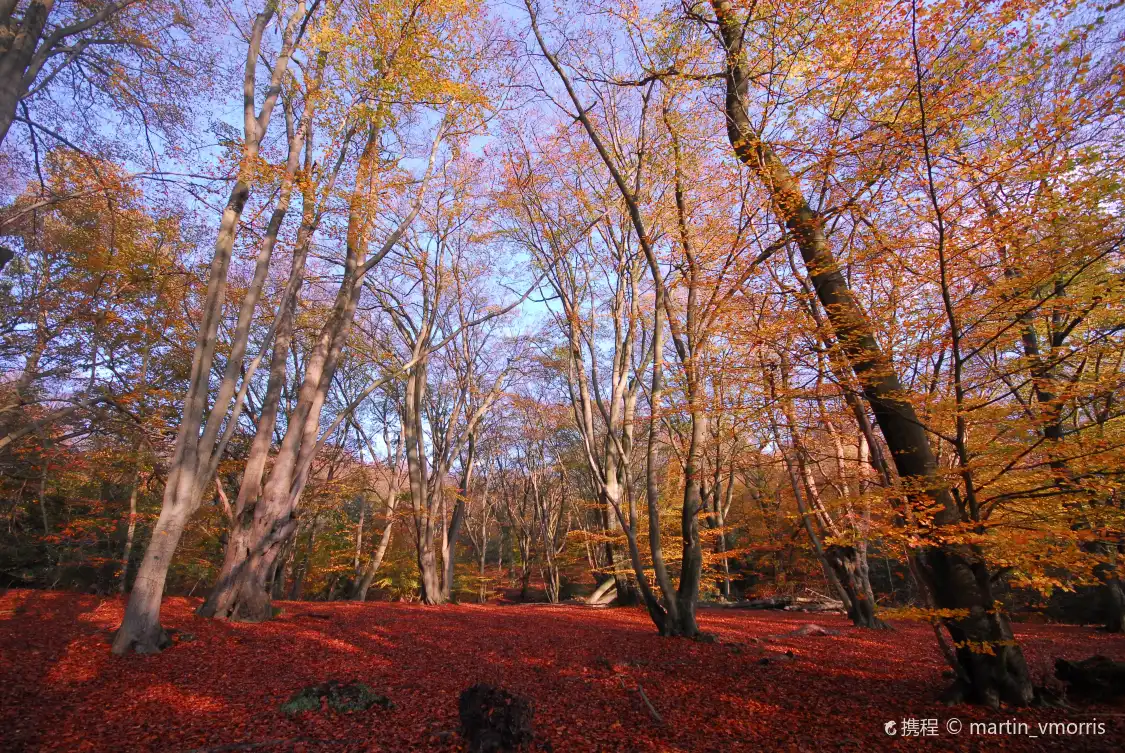 Hotels near Epping Forest