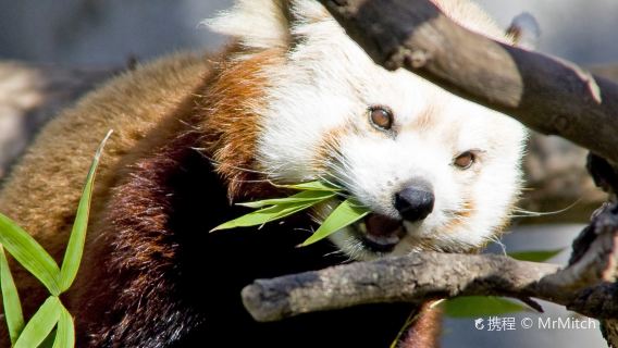 Sacramento Zoo