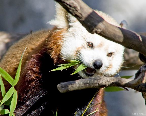 Sacramento Zoo