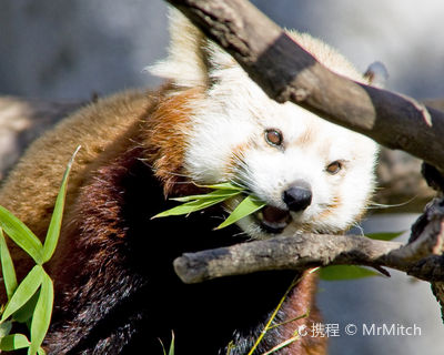 Sacramento Zoo