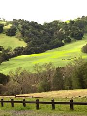 Foothill Regional Park