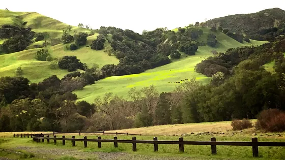 Foothill Regional Park