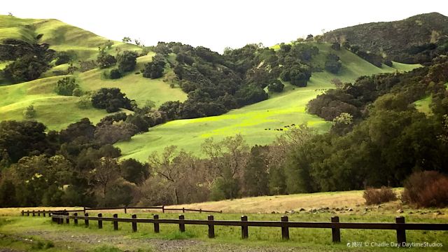 Foothill Regional Park