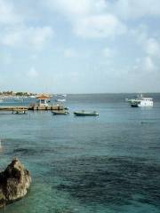 Dive Friends Bonaire