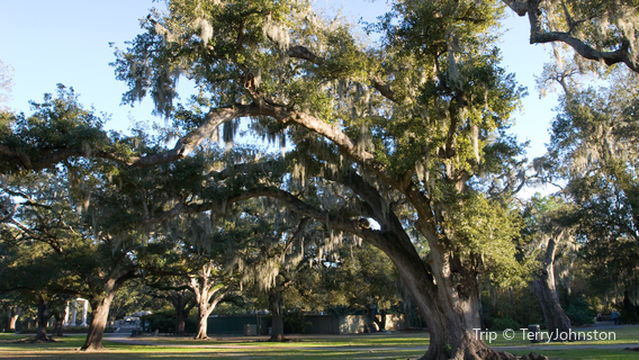 Grand Rapids Civic Theatre And School Of Theatre Arts