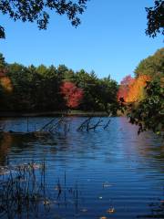 Farm Sanctuary