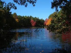 Farm Sanctuary