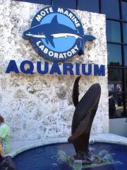 Mote Marine Laboratory and Aquarium
