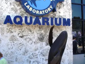 Mote Marine Laboratory and Aquarium