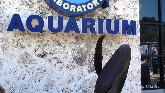 Laboratorio Marino Mote