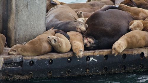 Monterey Bay National Marine Sanctuary Exploration Center