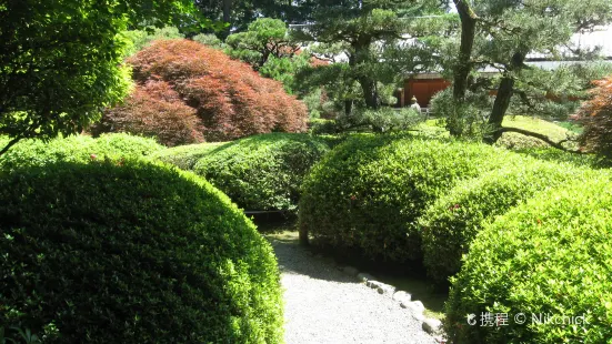 The Japanese Garden