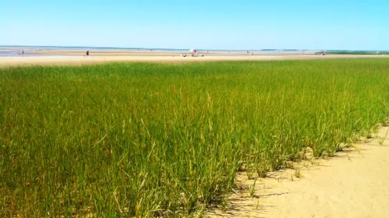 First Encounter Beach