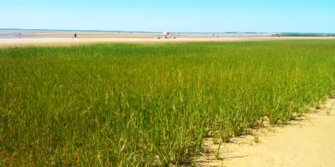First Encounter Beach