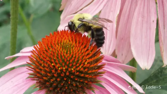 Cleveland Botanical Garden