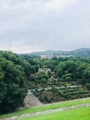 WangJiachang Reservoir