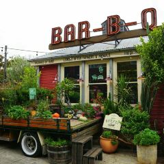 The Grounds of Alexandria User Photo