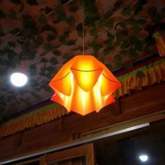Ganlanshucangjiahuoguolaoguan User Photo