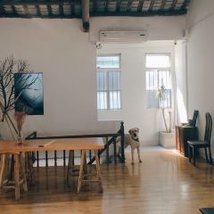 厝客厅 User Photo