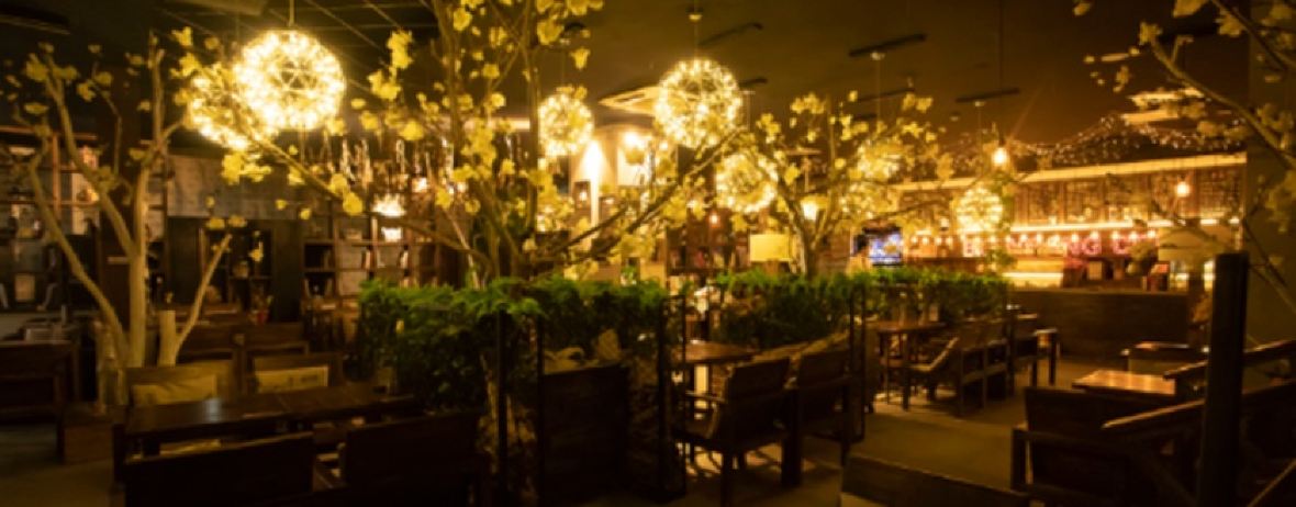 避风港花园咖啡(发达广场店)