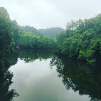 評論圖片 4