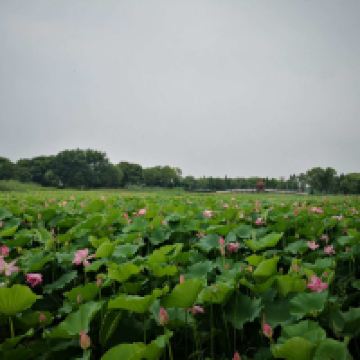 評論圖片 5