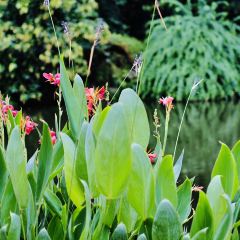 Ministry Of Crab User Photo