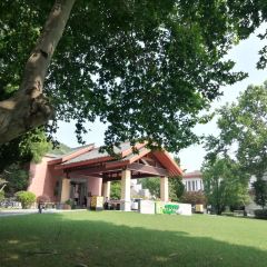 Holiday Inn Resort Chaohu Hot Spring  All Day Dining User Photo