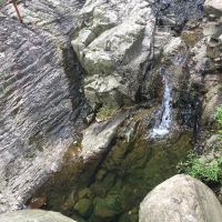 評論圖片 8
