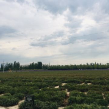 評論圖片 3
