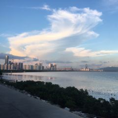 Gangfengtangcha Restaurant (shenzhenwankou'an) User Photo