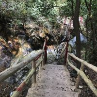 評論圖片 5