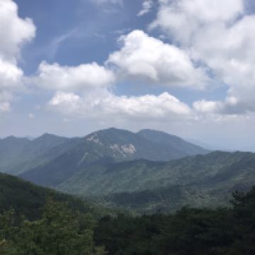 評論圖片 5