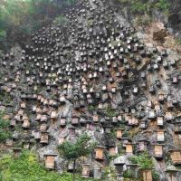 評論圖片 4