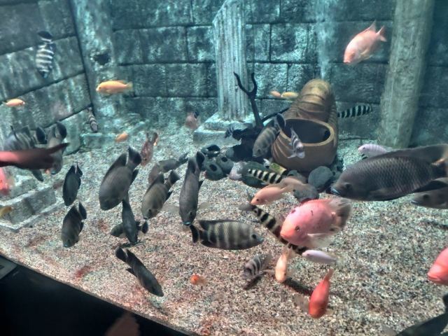 正佳極地海洋世界