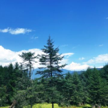 評論圖片 4