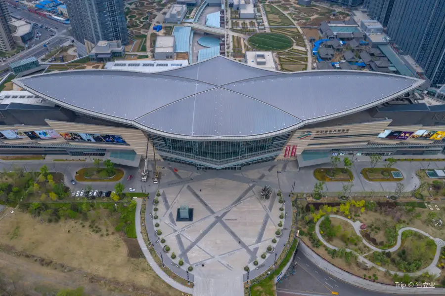 Новый Всемирный Экспо в Шэньяне