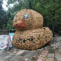評論圖片 2