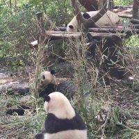 評論圖片 2