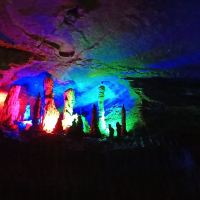 評論圖片 6