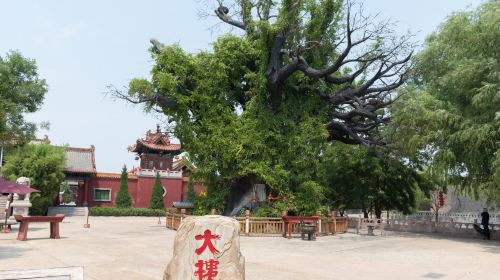 Hongdong Dahuaishu Ancestor Memorial Garden